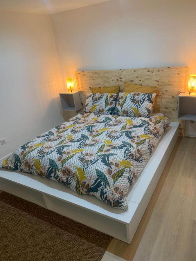 Chouett'Appart Proche Frontieres Village-Neuf Екстериор снимка